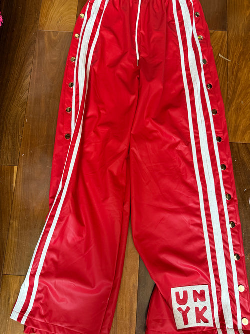✨ The Joy Ride Pants